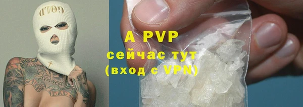дживик Абаза