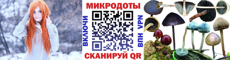 KRAKEN как войти  Отрадный  Галлюциногенные грибы GOLDEN TEACHER  купить  